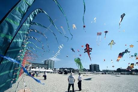 les cerfs volants de berck sur mer dans le Nord Pas de calais proche de la Picardie