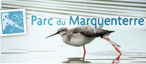 marquenterre en picardie